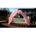 VIP Entrance Tunnel Balloon Arch